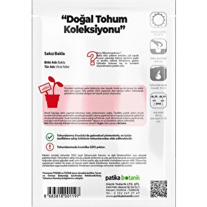 50 Adet Sakız Bakla Tohumu