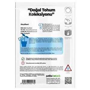 15 Adet Ateşdikeni Ağaç Tohumu