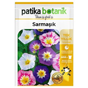 50 Adet Sarmaşık - Gündüz Sefası Çiçek Tohumu