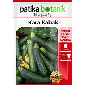 25 Adet Yerli Ata Siyah Kabak Tohumu (kolsuz Kara Kabak)