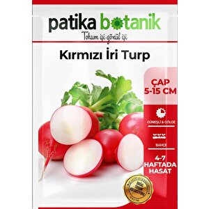 500 Adet İri Kırmızı Turp Tohumu