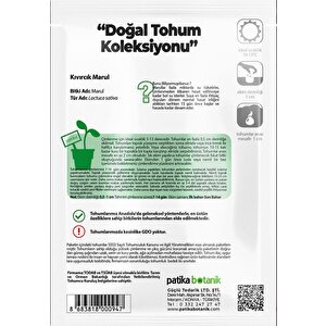 2.000 Adet Kıvırcık Marul Tohumu