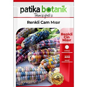 15 Adet Doğal Renkli Cam Mısır Tohumu