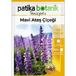 40 Adet Mavi Ateş Çiçeği Tohumu