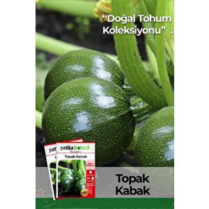 25 Adet Yerli Ata Topak Kabak Tohumu