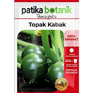 25 Adet Yerli Ata Topak Kabak Tohumu