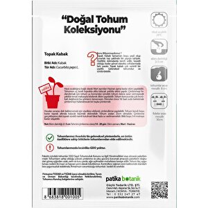 25 Adet Yerli Ata Topak Kabak Tohumu