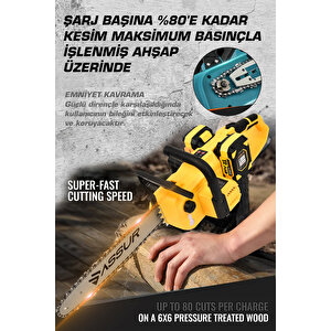 21v Çift Batarya Dal Budama Makinesi Şarjlı Testere Kesim Motoru