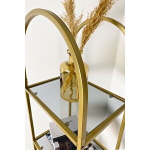 Mona Gold Köşe Kitaplık Dekoratif Aksesuar Rafı Mutfak Rafı 40cm Füme Camlı