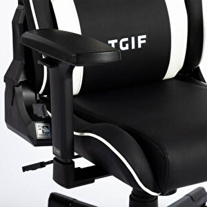 Adore Gaming Apollo Profesyonel Oyuncu Ve Yönetici Koltuğu-siyah-beyaz 42x124-131,5x64 Cm