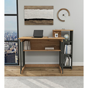 Ecowork Pro 5 Raflı Çalışma Masası Çam - Antrasit Atlantik Çam Antrasit