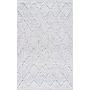 Ferida 61579 060 Serisi İskandinav Salon Oturma Yatak Odası Halısı 200x290 cm