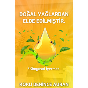 Capella Fresh Çubuklu Oda Kokusu Dekor 50ml