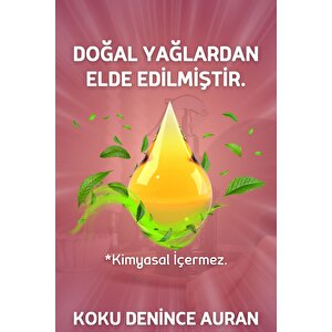 Au Reuk Oda Ve Çamaşır Spreyi Oda Kokusu Oda Parfümü Kalıcı Oda Kokusu Premium Room Spray 430ml