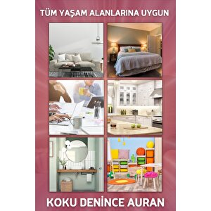 Au Reuk Oda Ve Çamaşır Spreyi Oda Kokusu Oda Parfümü Kalıcı Oda Kokusu Premium Room Spray 430ml