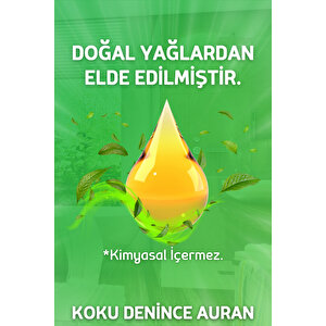 Amber Romantik Çubuklu Oda Kokusu Esansiyel Uçucu Yağ Amber Romantic 50ml