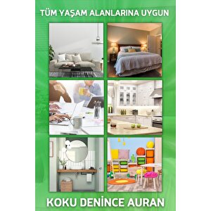 Okyanus Çubuklu Oda Kokusu Esansiyel Uçucu Yağ Ocean 50ml