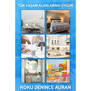 Japon Kiraz Çiçeği Oda Ve Çamaşır Spreyi Oda Kokusu Oda Spreyi Room Spray 250ml