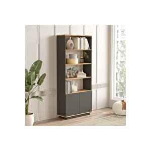 Delphin Kitaplık Raf 2 Kapaklı Raflı 168cm Çam-antrasit Dlp16-aa