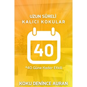 Spring Breeze - Bahar Esintisi Kare Bambu Çubuklu Oda Kokusu 100ml