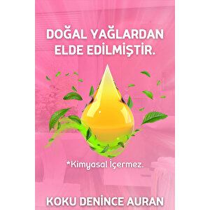 Bebek Pudrası Çubuklu Oda Kokusu Esansiyel Uçucu Yağ Baby Powder 50ml