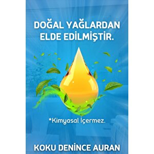 Amber Breeze Çubuklu Oda Kokusu Dekor 200ml