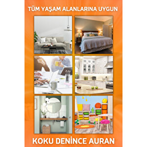 Amber Breeze Oda Spreyi Oda Kokusu Oda Parfümü Kalıcı Oda Kokusu Premium Room Spray 430ml