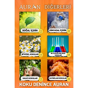 Amber Breeze Oda Spreyi Oda Kokusu Oda Parfümü Kalıcı Oda Kokusu Premium Room Spray 430ml