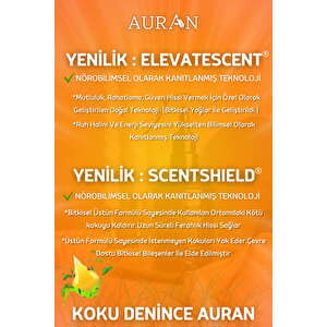 Amber Breeze Oda Spreyi Oda Kokusu Oda Parfümü Kalıcı Oda Kokusu Premium Room Spray 430ml