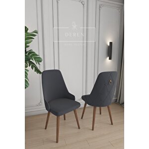 Fier Serisi Mutfak Ve Salon Yemek Masası Takımı + 6 Adet Füme Sandalye