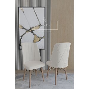Arya Serisi 70x110 Sabit Masa +4 Krem Sandalye Silinebilir Ithal Baby Face Kumaş Mutfak Takımı