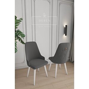 Fier Serisi Mutfak Ve Salon Yemek Masası Takımı + 4 Adet Antrasit Sandalye