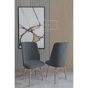 Arya Serisi 70x110 Sabit Masa +4 Antrasit Sandalye Silinebilir Ithal Baby Face Kumaş Mutfak Takımı