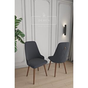 Fier Serisi Mutfak Ve Salon Yemek Masası Takımı + 4 Adet Füme Sandalye