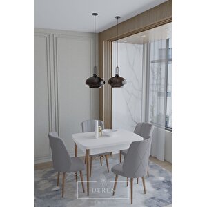 Arya Serisi 70x110 Sabit Masa +4 Açık Gri Sandalye Silinebilir Ithal Baby Face Kumaş Mutfak Takımı