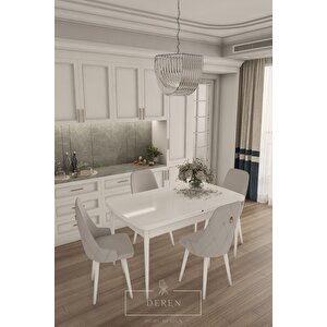 Fier Serisi Mutfak Ve Salon Yemek Masası Takımı + 4 Adet Açık Gri Sandalye