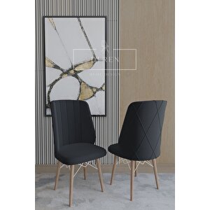 Arya Serisi 70x110 Sabit Masa +4 Siyah Sandalye Silinebilir Ithal Baby Face Kumaş Mutfak Takımı