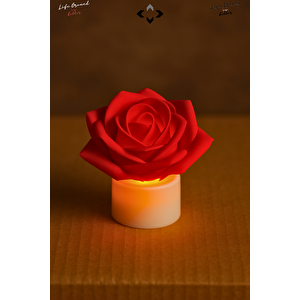 3’lü MİNİ LED Gül Desenli Dekoratif Gece Lambası Seti – Romantik Masa Aydınlatması & Hediyelik