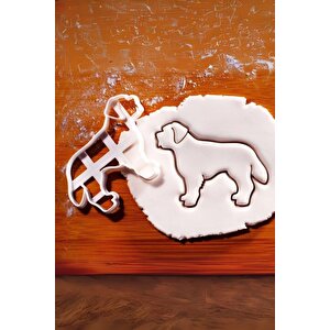 Dog Body Kurabiye Kalıbı, Hamur Şekillendirici