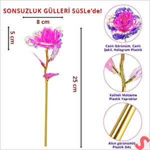 Sonsuzluk Gülü, 25 Cm X 8cm - Pembe