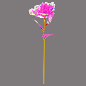 Sonsuzluk Gülü, 25 Cm X 8cm - Pembe