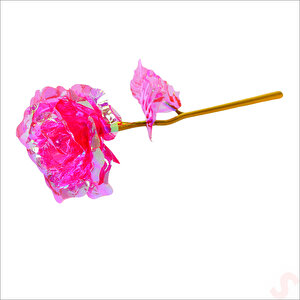 Sonsuzluk Gülü, 25 Cm X 8cm - Pembe