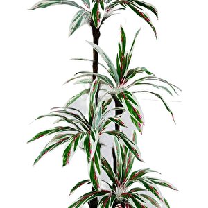 Yapay Ağaç Kızıl Beyaz Yukka 4katlı 72 Yaprak 160*65cm