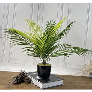 Yapay Çiçek Palmiye Siyah Plastik Saksılı Areka Yapay Bitki Salon Çiçeği 9 Yaprak 50cm