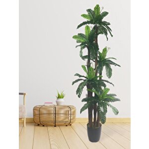 Yapay Ağaç Sıkas Palmiye Ağacı 5katlı 180*65cm