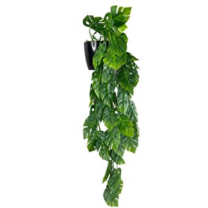 Yapay Çiçek Saksıda Sarkan Monstera Deve Tabanı Yapay Sarmaşık Pastel 60cm