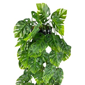 Yapay Çiçek Saksıda Sarkan Monstera Deve Tabanı Yapay Sarmaşık Pastel 60cm