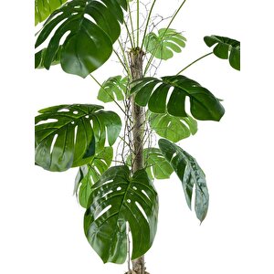 Yapay Ağaç Monstera 18 Dallı Çalılı Gövde 120x60cm Gümüş Aleminyum Saksıda