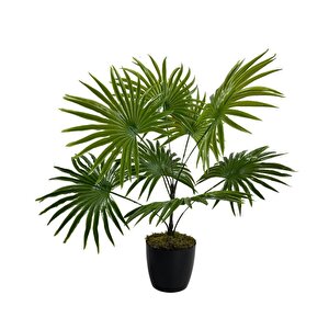 Yapay Çiçek Yelpaze Palmiye 8 Dal 50*40cm Salon Çiçeği Plastik Siyah Saksılı Yapay Bitki