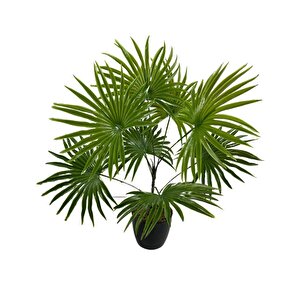 Yapay Çiçek Yelpaze Palmiye 8 Dal 50*40cm Salon Çiçeği Plastik Siyah Saksılı Yapay Bitki